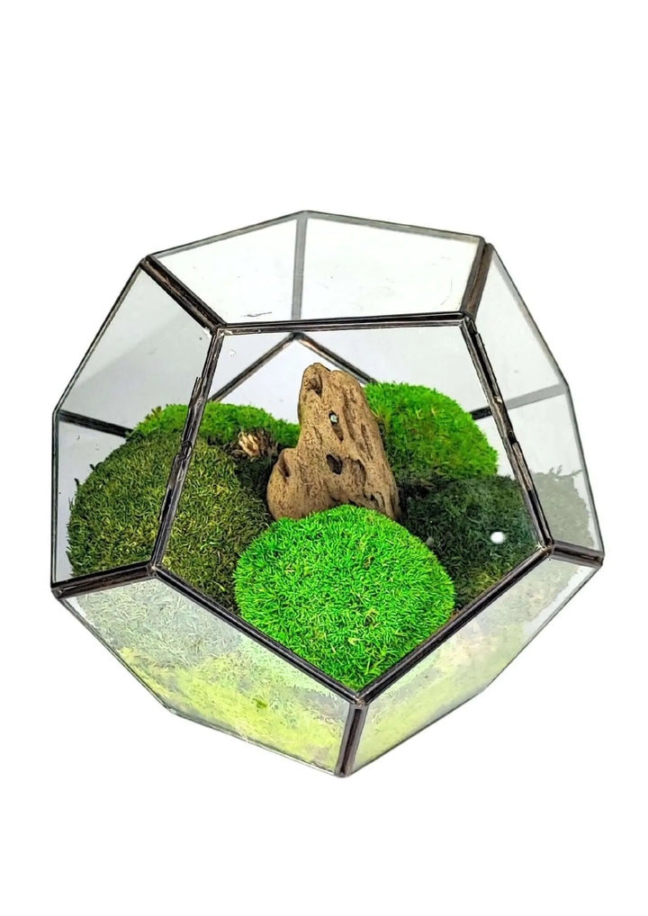 Terrarium geometrico Habitat Incantato 2TR071 - i Giardini di Giulia