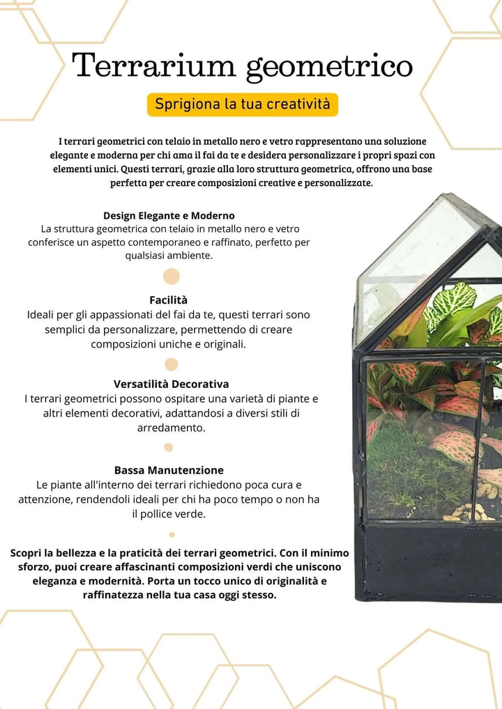Terrarium geometrico Micro Oasi 2TR062 - i Giardini di Giulia