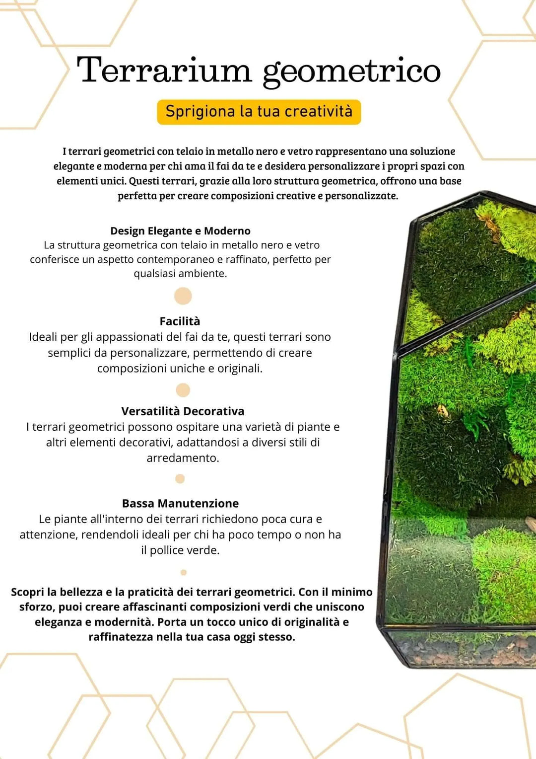 Terrarium geometrico Oasi di Luce 2TR068 - i Giardini di Giulia