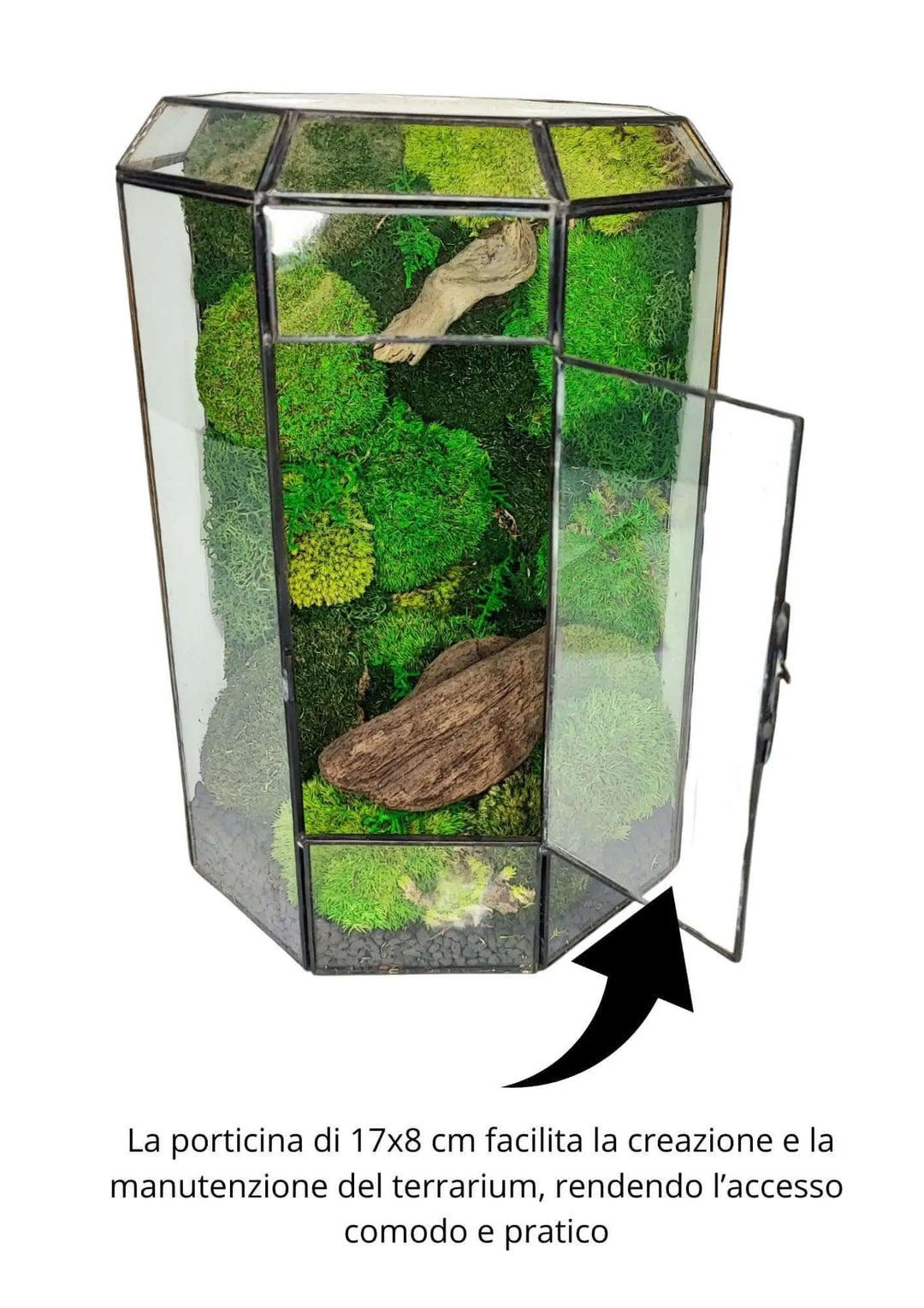 Terrarium geometrico Oasi di Luce 2TR069 - i Giardini di Giulia