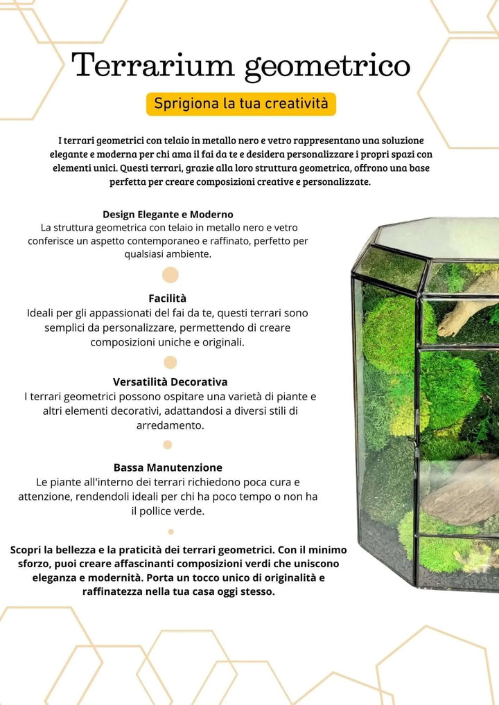 Terrarium geometrico Oasi di Luce 2TR069 - i Giardini di Giulia