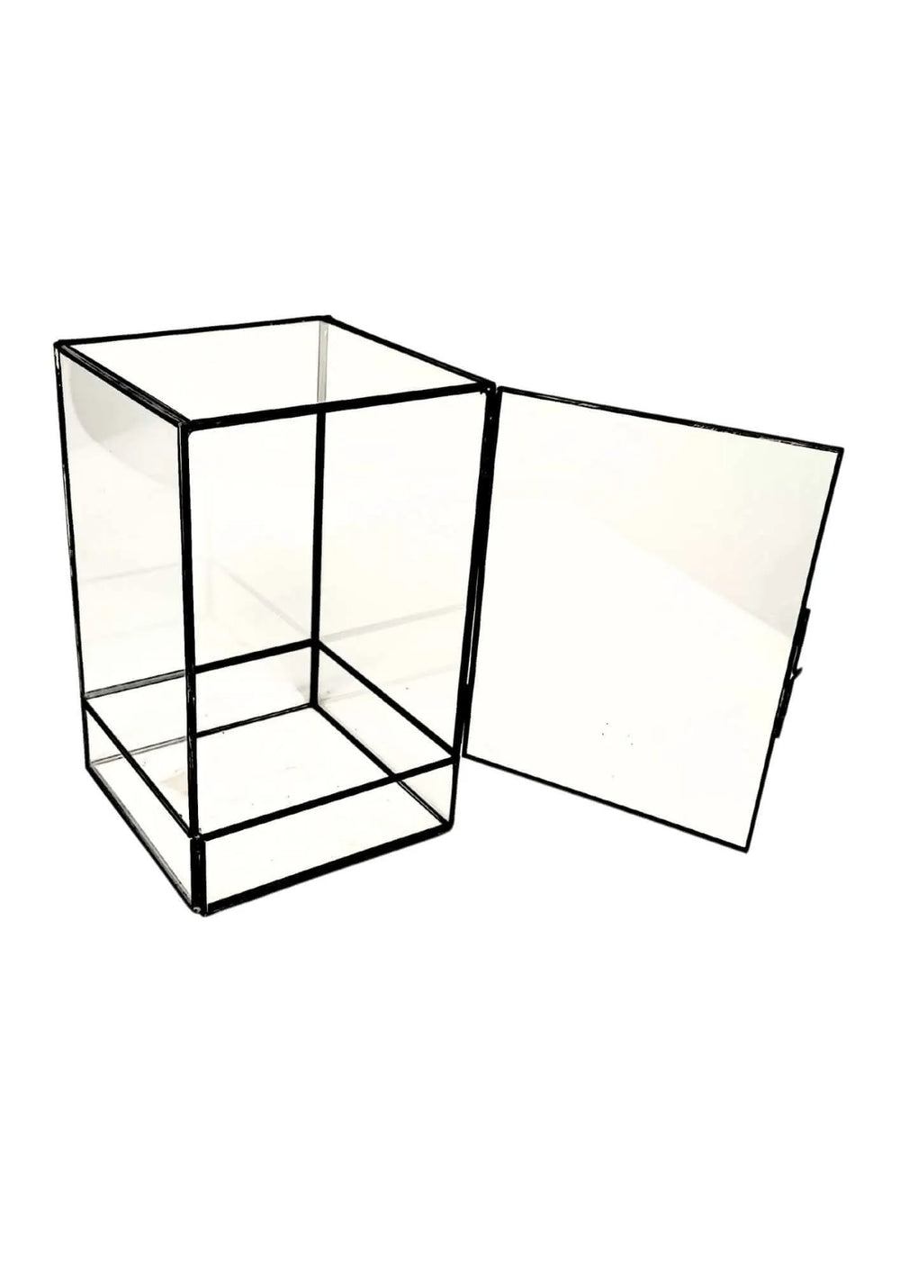 Terrarium geometrico Paradiso Naturale 2TR076 - i Giardini di Giulia