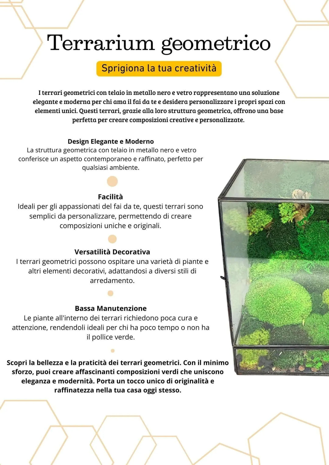 Terrarium geometrico Paradiso Naturale 2TR076 - i Giardini di Giulia