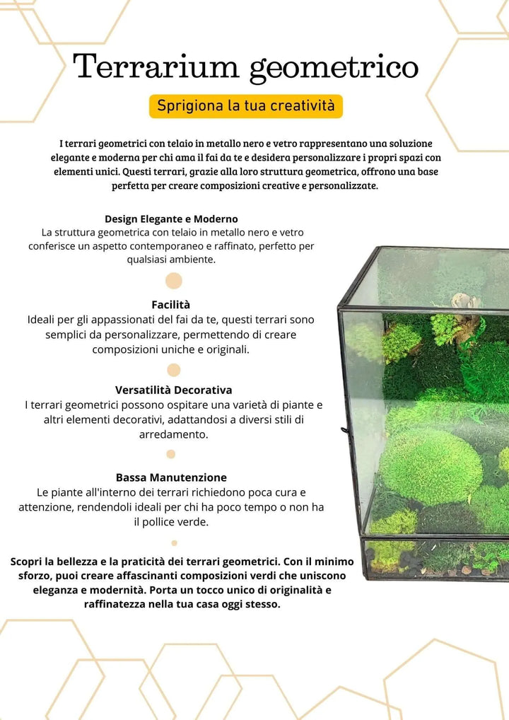 Terrarium geometrico Paradiso Naturale 2TR076 - i Giardini di Giulia