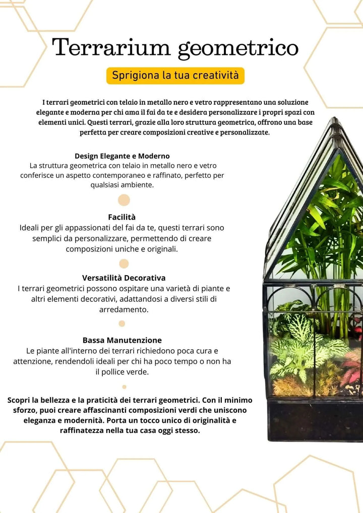 Terrarium geometrico Rifugio di Cristallo 2TR063 - i Giardini di Giulia