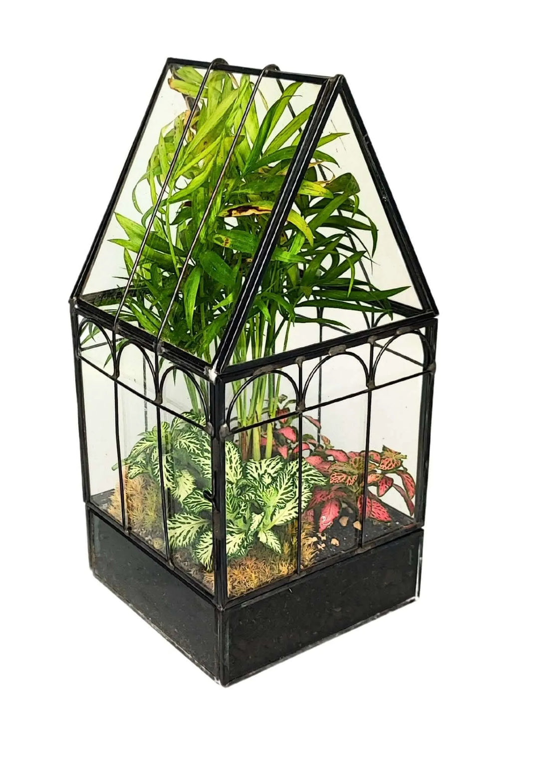 Terrarium geometrico Rifugio di Cristallo 2TR063 - i Giardini di Giulia