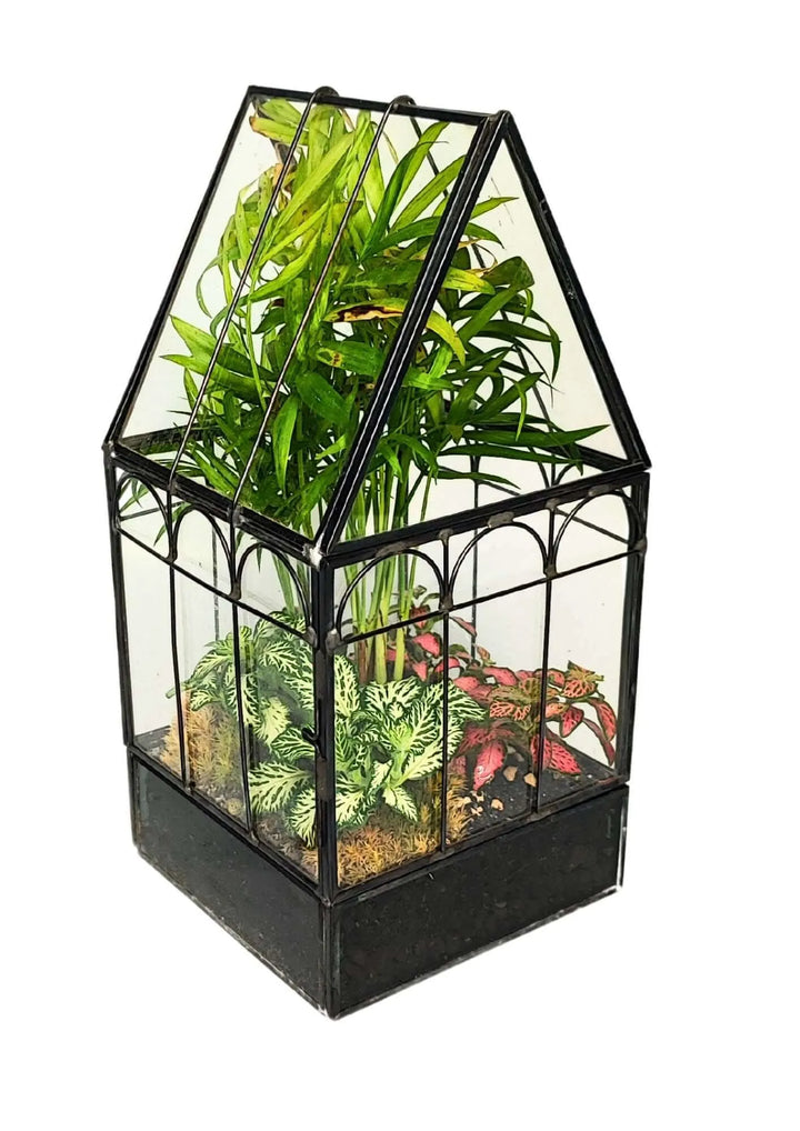 Terrarium geometrico Rifugio di Cristallo 2TR063 - i Giardini di Giulia