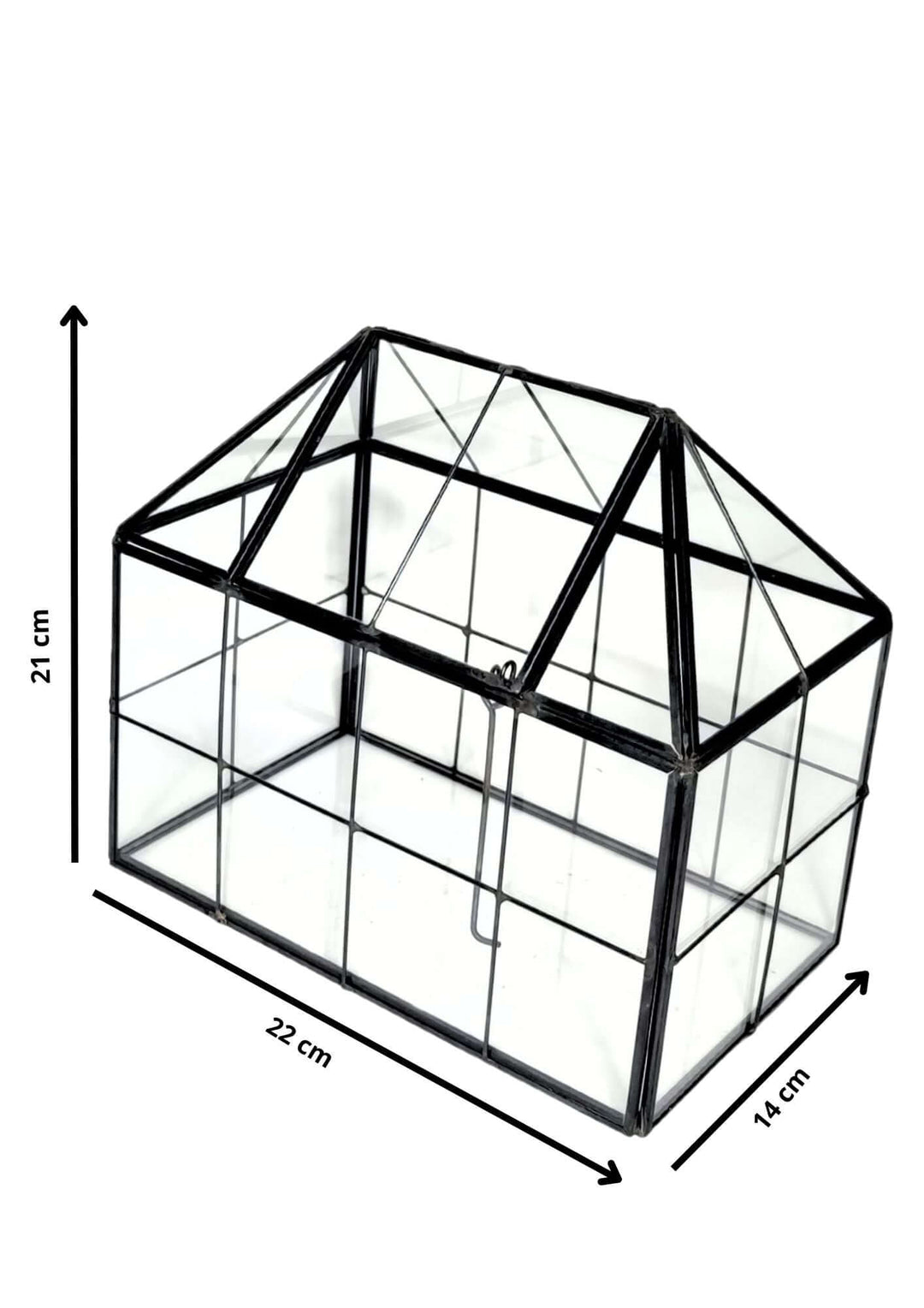 Terrarium geometrico Scrigno della Natura 2TR061 - i Giardini di Giulia