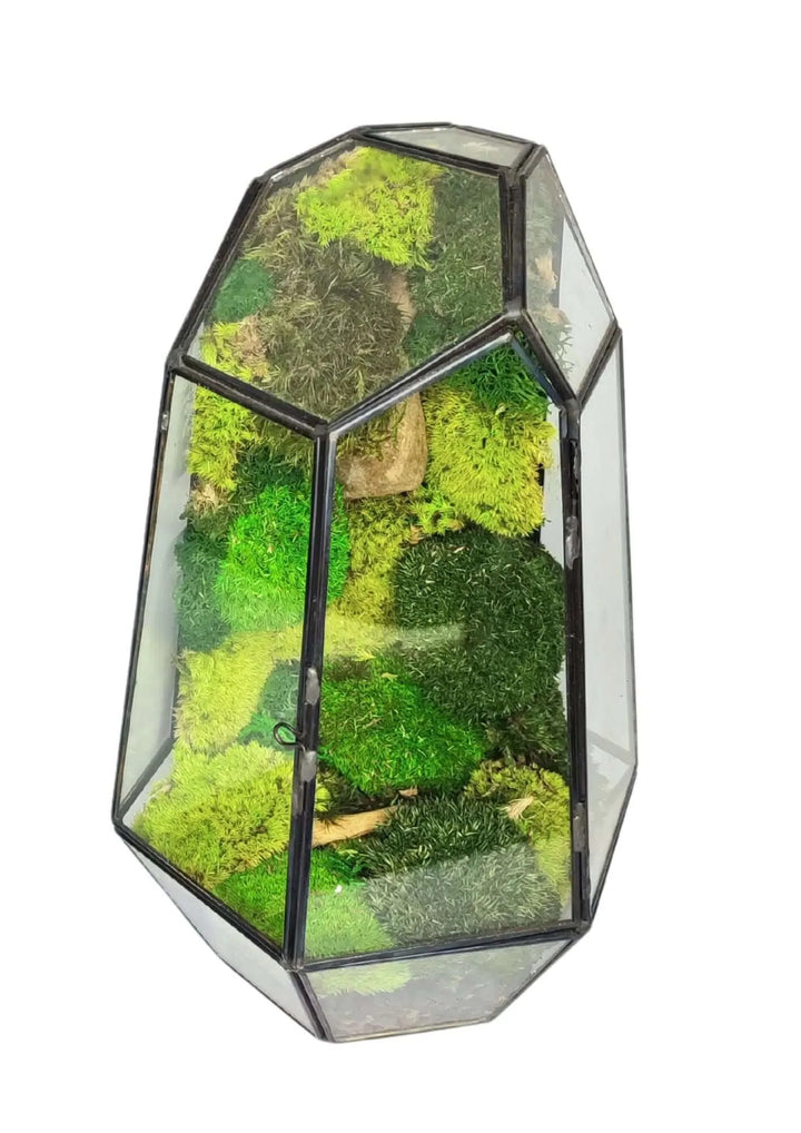 Terrarium geometrico Universo di Vetro 2TR067 - i Giardini di Giulia