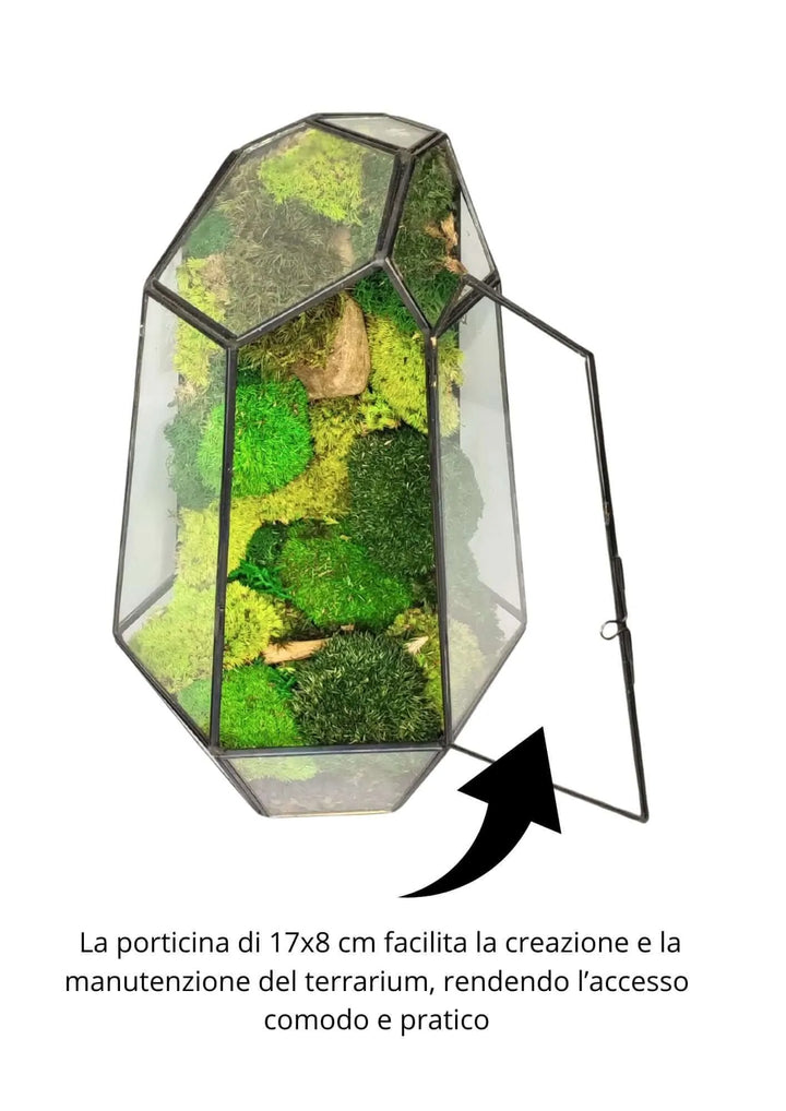 Terrarium geometrico Universo di Vetro 2TR067 - i Giardini di Giulia