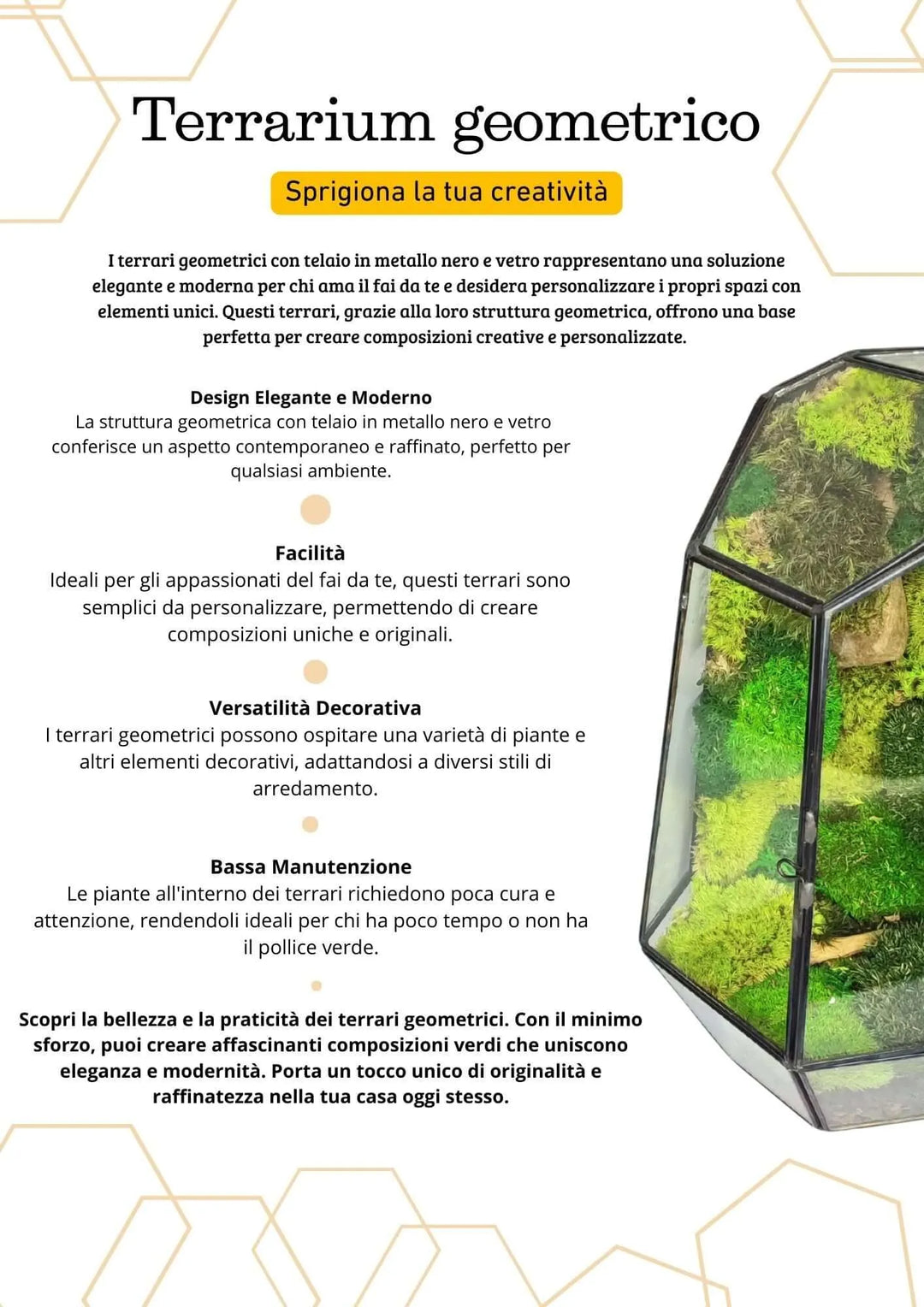 Terrarium geometrico Universo di Vetro 2TR067 - i Giardini di Giulia