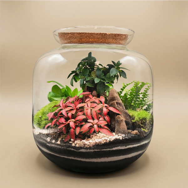 Terrarium Giardino Segreto Urbano