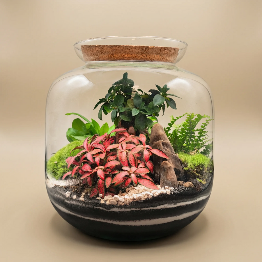 Terrarium in vetro con Fittonia rosa, felce verde, muschio e legno decorativo