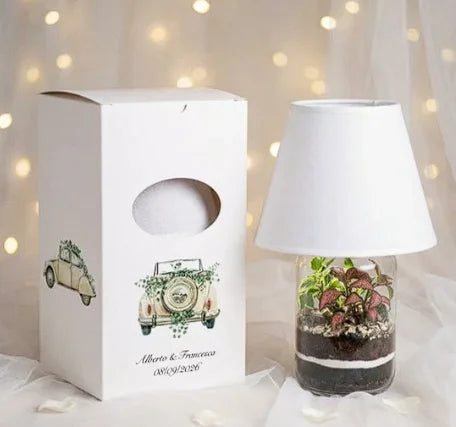 Terrarium lampada LED bomboniera matrimonio originale