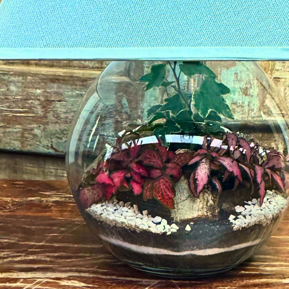 Terrarium Lamparium Oasi Lux elegant LUM03 - i Giardini di Giulia