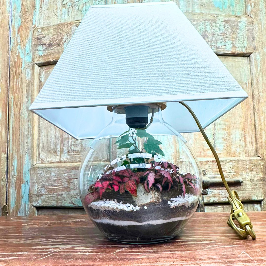 Terrarium Lamparium Oasi Lux elegant LUM03 - i Giardini di Giulia