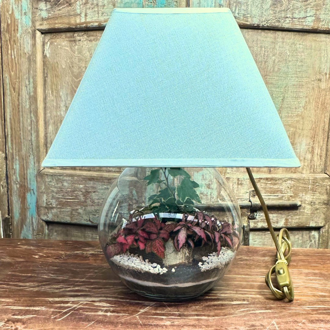 Terrarium Lamparium Oasi Lux elegant LUM03 - i Giardini di Giulia