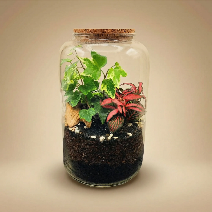 Terrarium esotico in vetro con tappo sughero, piante tropicali verdi e rosse, mini giardino decorativo.
