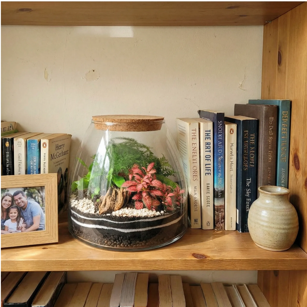 Terrarium esotico su mensola soggiorno con arredamento moderno scandinavo