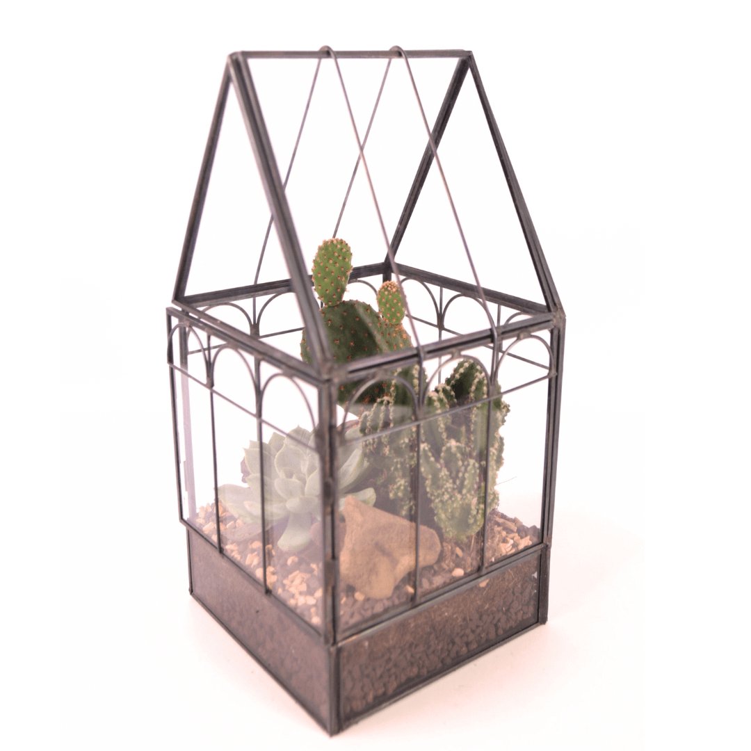 Terrarium Mini Serra Romantica con Piante Grasse 063G - i Giardini di Giulia