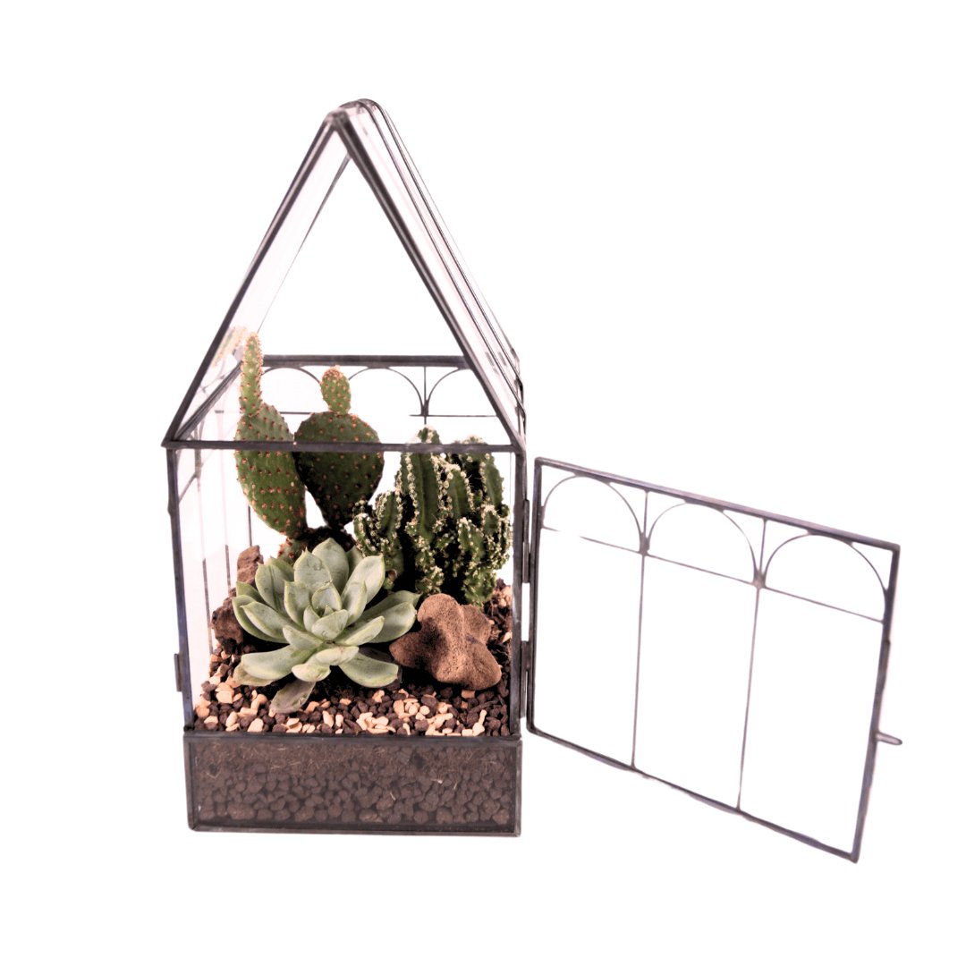 Terrarium Mini Serra Romantica con Piante Grasse 063G - i Giardini di Giulia