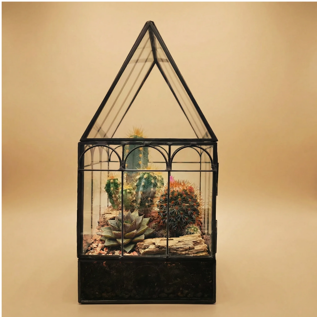 Terrarium Mini Serra Romantica con Piante Grasse 063G