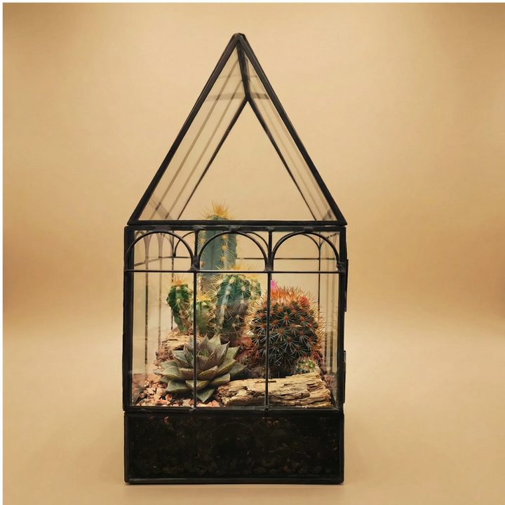 Terrarium Mini Serra Romantica con Piante Grasse 063G