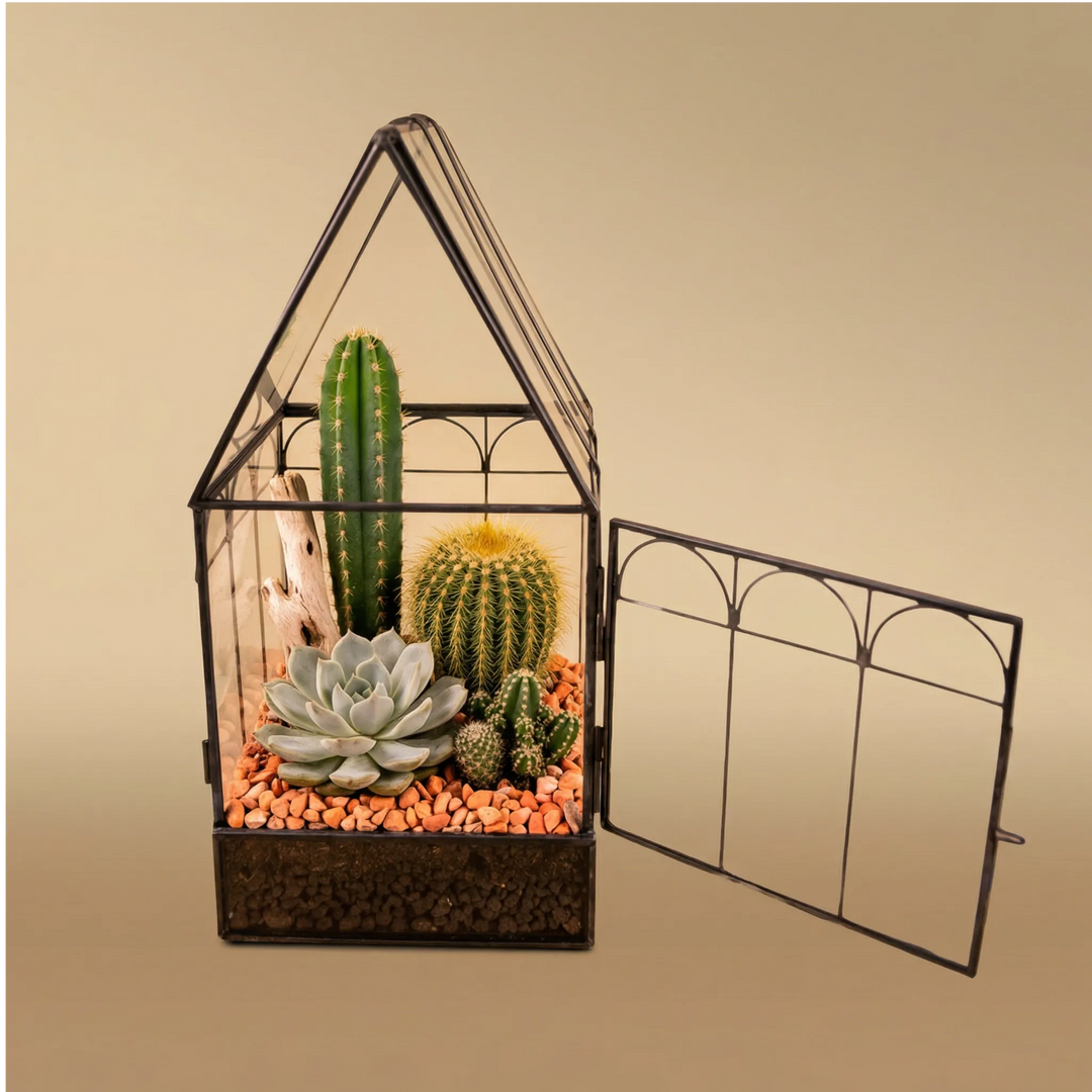 Terrarium Mini Serra Romantica con Piante Grasse 063G