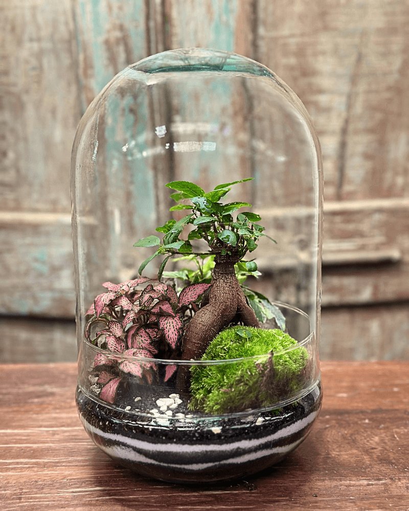 Terrarium Natura Ellipse - i Giardini di Giulia