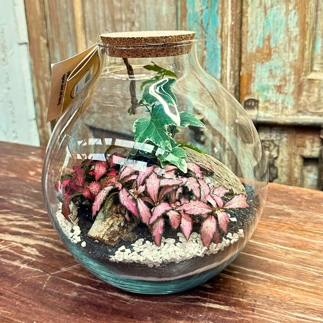 Terrarium Nicole 047 - i Giardini di Giulia