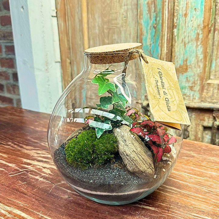 Terrarium Nicole 047 - i Giardini di Giulia