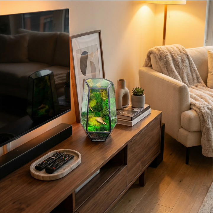 Terrarium Prisma green Stabilizzato