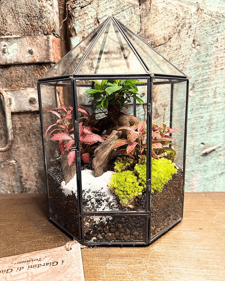 Terrarium Prisma incantato 060V - i Giardini di Giulia