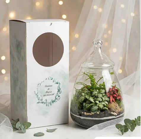 Terrarium in vetro bomboniera cresima comunione