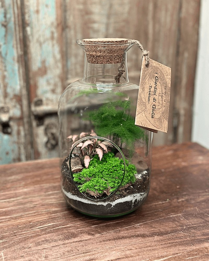 Terrarium Viva Oblò - i Giardini di Giulia