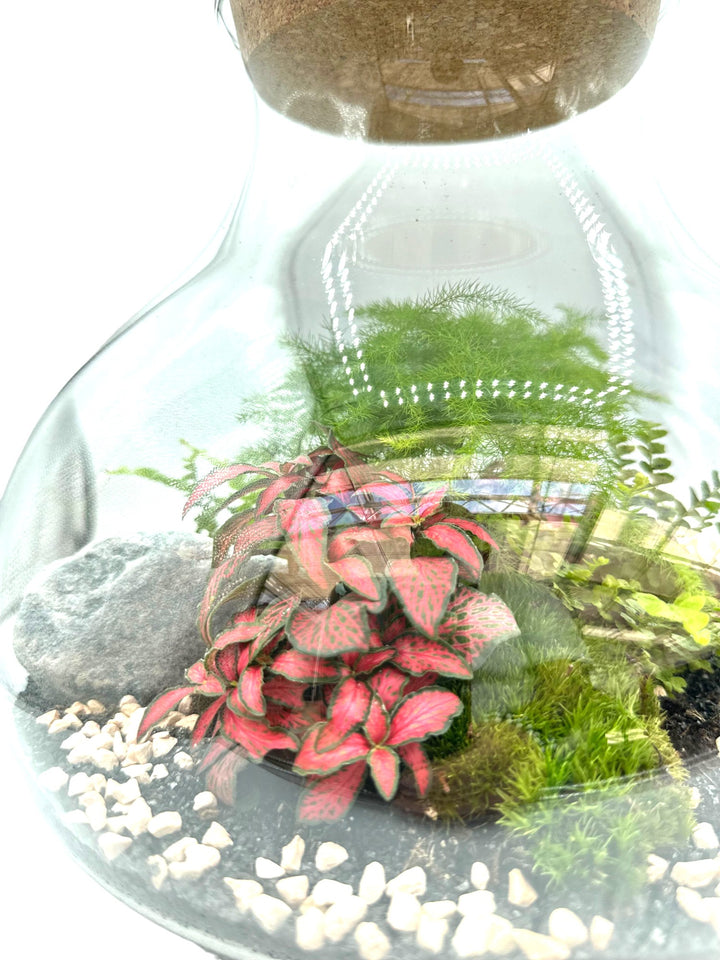 Terrarium Giardino Segreto Urbano