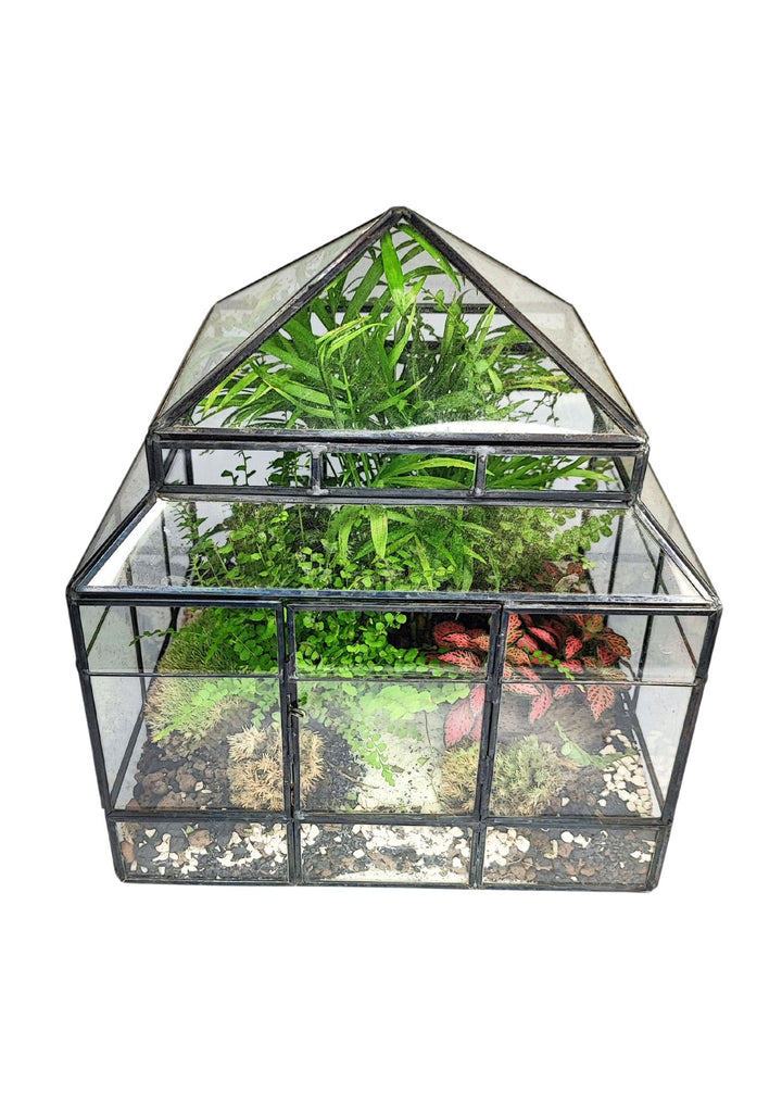 L'immagine mostra un terrarium a forma di casetta in vetro con diverse piante al suo interno, tra cui felci e Fittonia, disposte su vari strati di substrato e muschio, creando un microambiente verde e decorativo.