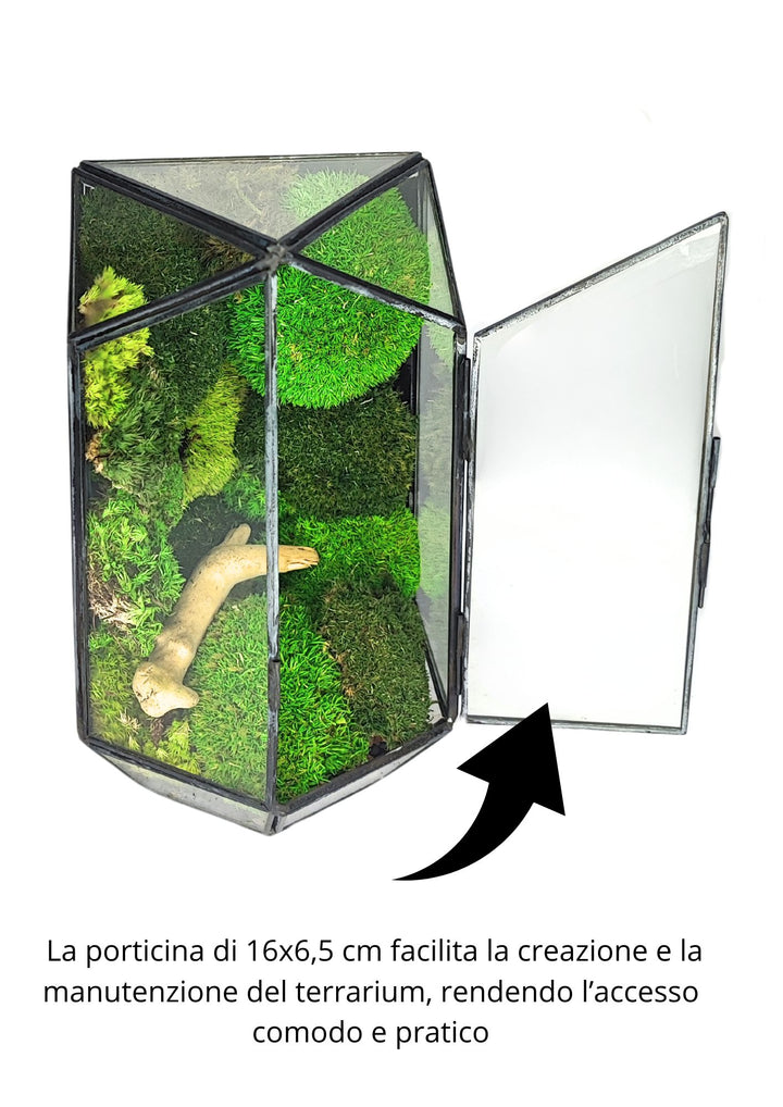 
L'immagine mostra un terrario geometrico in vetro con muschio verde all'interno, reso accessibile da una porticina trasparente di 16x6,5 cm. Il terrario è caratterizzato da una disposizione armoniosa di muschi naturali e un ramo decorativo in legno chiaro. L'apertura laterale facilita la manutenzione e la creazione del paesaggio interno, rendendo il terrario pratico e facile da gestire.