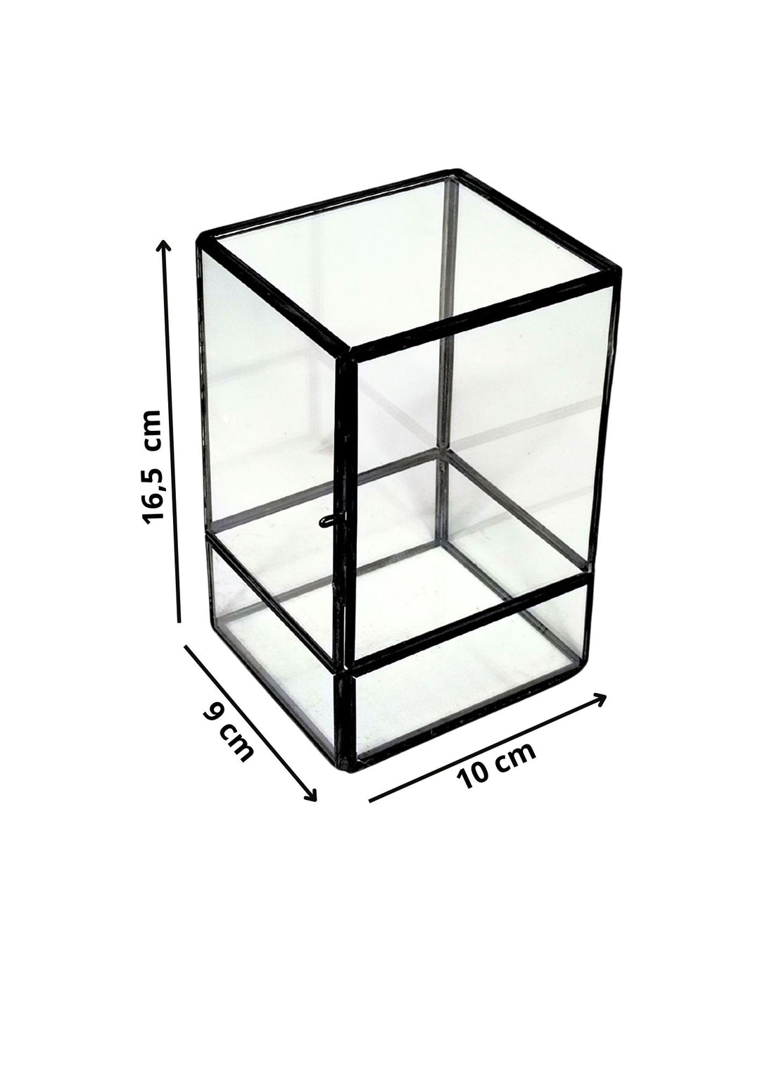 L'immagine mostra una teca di vetro rettangolare con dimensioni indicate: altezza di 16,5 cm, larghezza di 10 cm e profondità di 9 cm. La struttura è composta da vetro con cornici nere, che delineano i contorni del terrario.