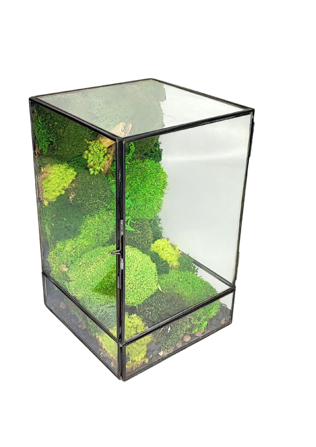 Questo terrario di forma rettangolare in vetro contiene diversi strati di muschio verde che creano un effetto naturale e rigoglioso. Il design semplice ma elegante lo rende perfetto per decorare ambienti interni con un tocco di verde.





