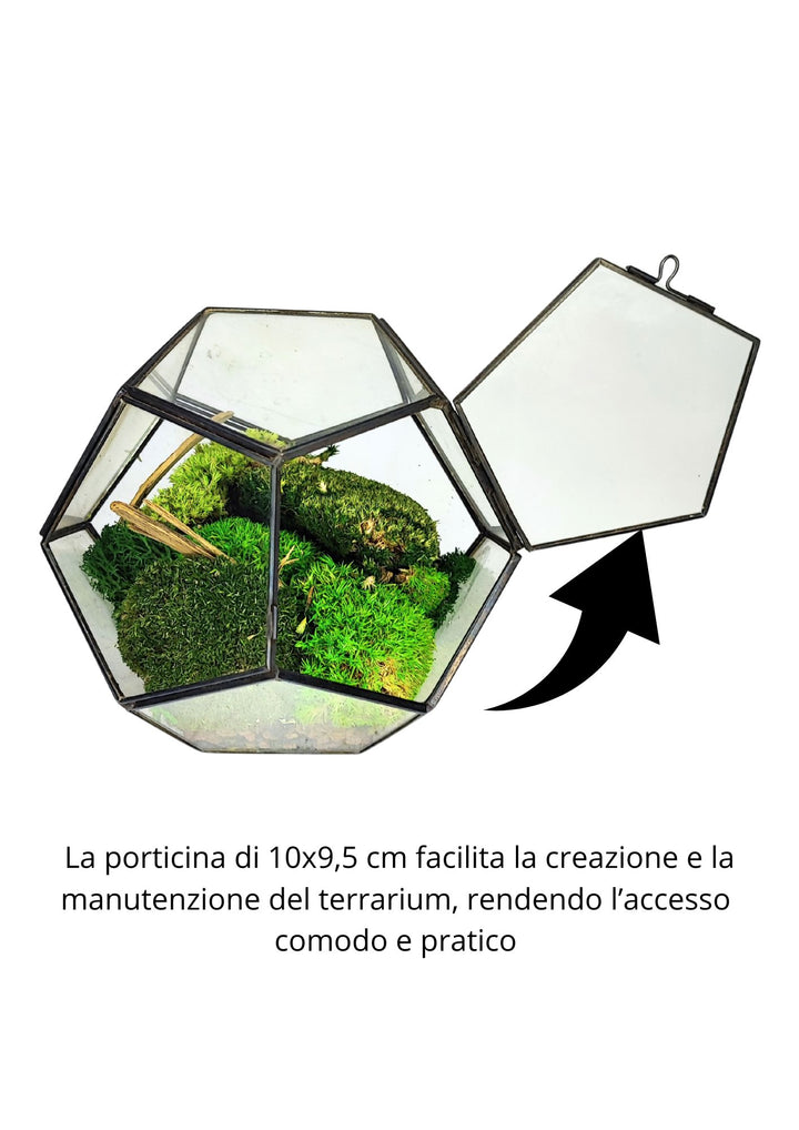 L'immagine mostra un terrario geometrico con una porticina di 10x9,5 cm, ideale per facilitare la creazione e la manutenzione del terrario. Il design rende l'accesso comodo e pratico, permettendo di inserire e curare facilmente gli elementi all'interno del contenitore di vetro. All'interno si notano del muschio verde e alcuni rami, creando un mini-ecosistema naturale.