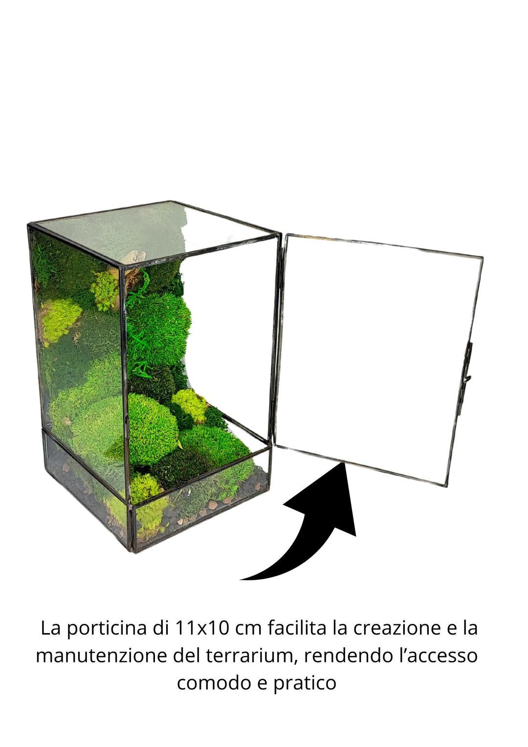 L'immagine mostra un terrario rettangolare in vetro, con una porticina di 11x10 cm aperta, evidenziata da una freccia che sottolinea la sua funzionalità. Questa porticina facilita la creazione e la manutenzione del terrario, offrendo un comodo accesso per aggiungere o curare il muschio stabilizzato all'interno.