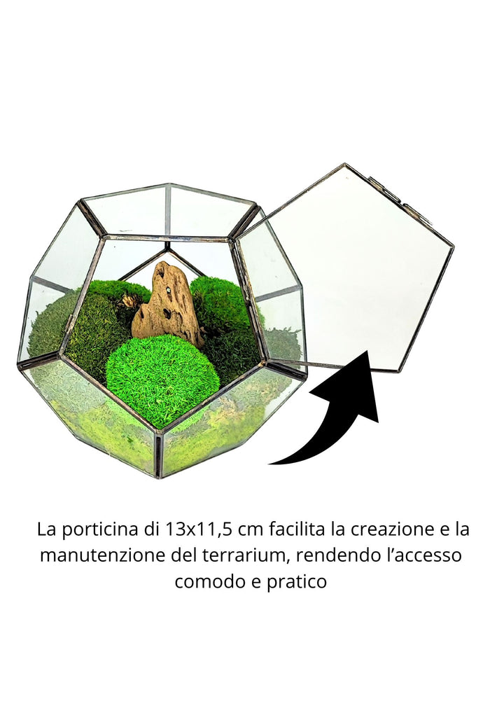 Terrario geometrico con una porticina di 13x11,5 cm per facilitare l'accesso e la manutenzione, decorato con muschio verde e un pezzo di legno centrale.