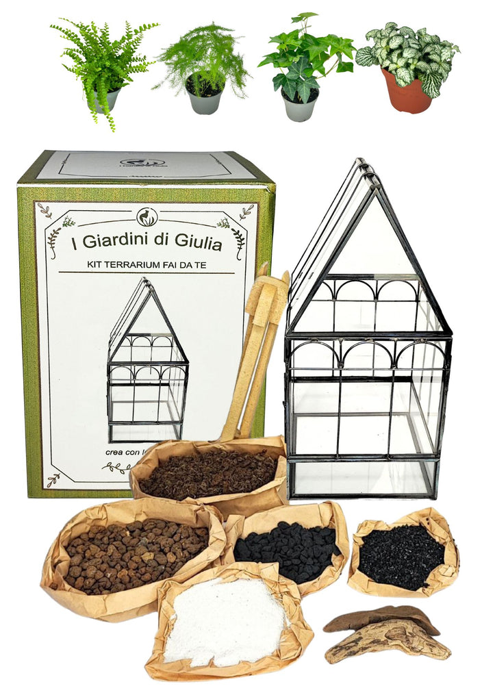 L'immagine mostra un kit per la creazione di un terrarium fai da te. Il kit include una mini serra in vetro a forma di casetta, una confezione di "I Giardini di Giulia," utensili per la preparazione, e vari materiali per il terrarium come argilla espansa, carbone attivo, sabbia bianca, torba bionda, e pezzi di legno. In alto, sono raffigurate quattro piante in vaso che possono essere utilizzate per il terrarium: una felce, un Asparagus Plumosus, un'edera, e una Fittonia mini.