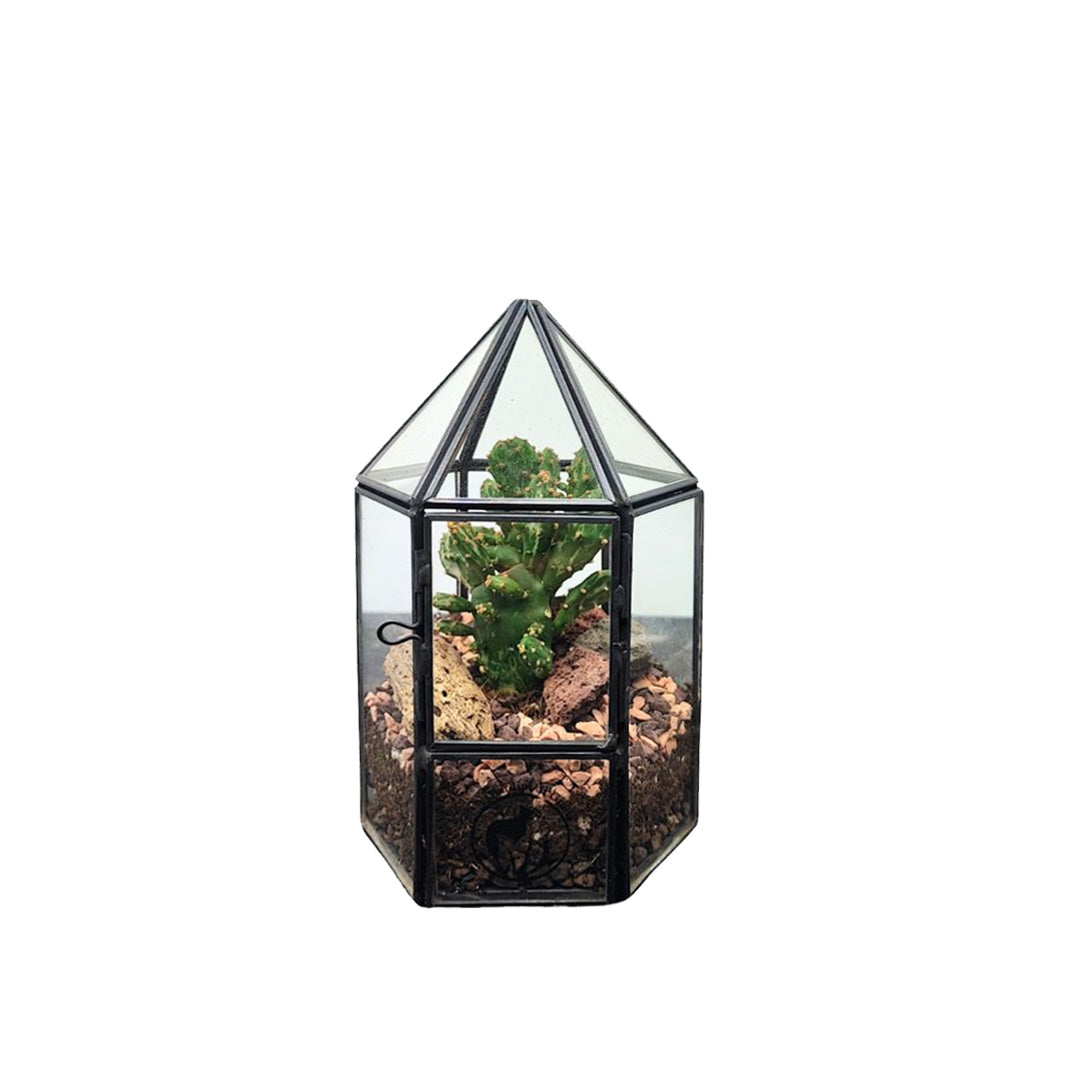 Terrarium geometrico con cactus in vetro e pietre decorative – 16,5 cm di altezza
