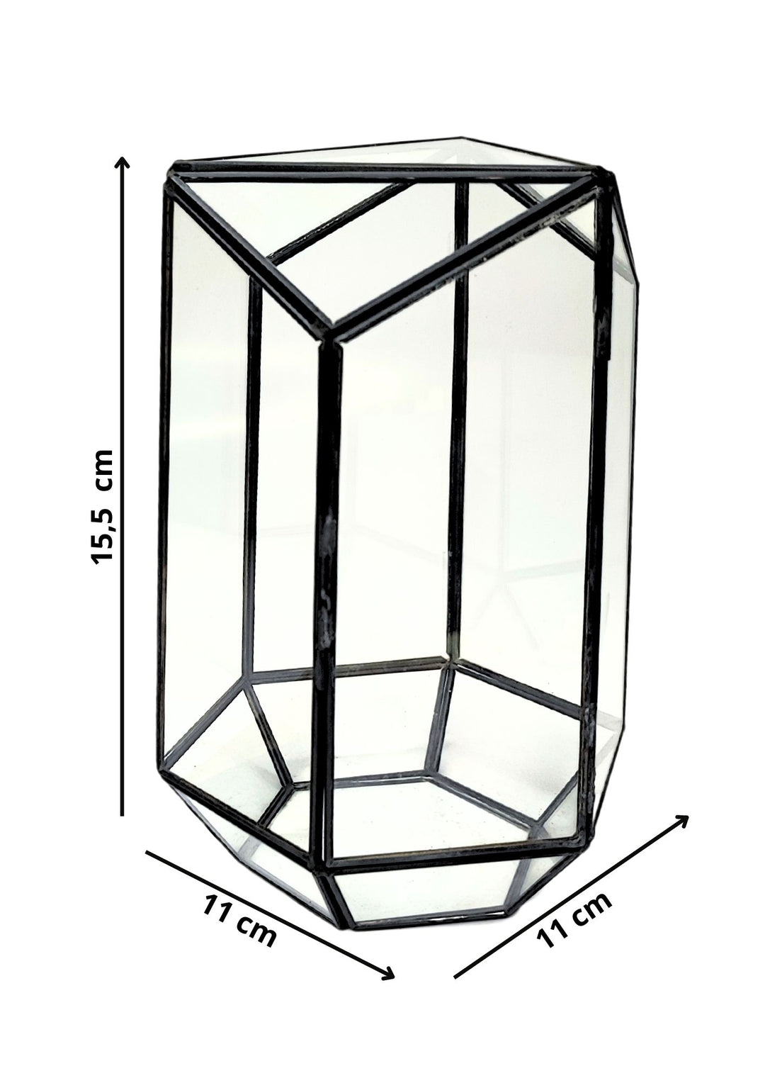 
L'immagine mostra un terrario geometrico in vetro con struttura metallica nera. Le dimensioni del terrario sono indicate come 15,5 cm di altezza e una base esagonale di 11 cm per lato. Il design trasparente e minimale rende questo terrario ideale per creare piccoli paesaggi verdi o per ospitare piante ornamentali.