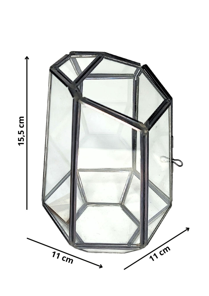 L'immagine mostra un terrario in vetro con struttura geometrica e misure precise indicate: 15,5 cm in altezza e 11 cm per ciascun lato della base. Il design del terrario è caratterizzato da una forma sfaccettata, con una porticina che può essere aperta per facilitare l'accesso all'interno. Questo tipo di terrario è ideale per creare piccoli giardini di muschio o per ospitare piante decorative in ambienti chiusi.