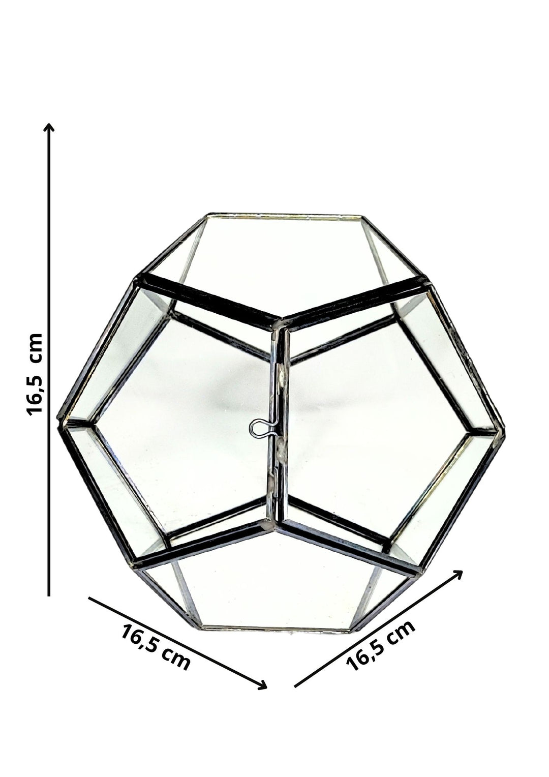 
L'immagine mostra un terrario a forma geometrica con del muschio verde e alcuni elementi naturali al suo interno, come ramoscelli. La struttura in vetro è trasparente, permettendo una visione chiara del paesaggio interno. Il design compatto e moderno è perfetto per decorare ambienti interni, offrendo un tocco di natura in uno spazio ridotto.