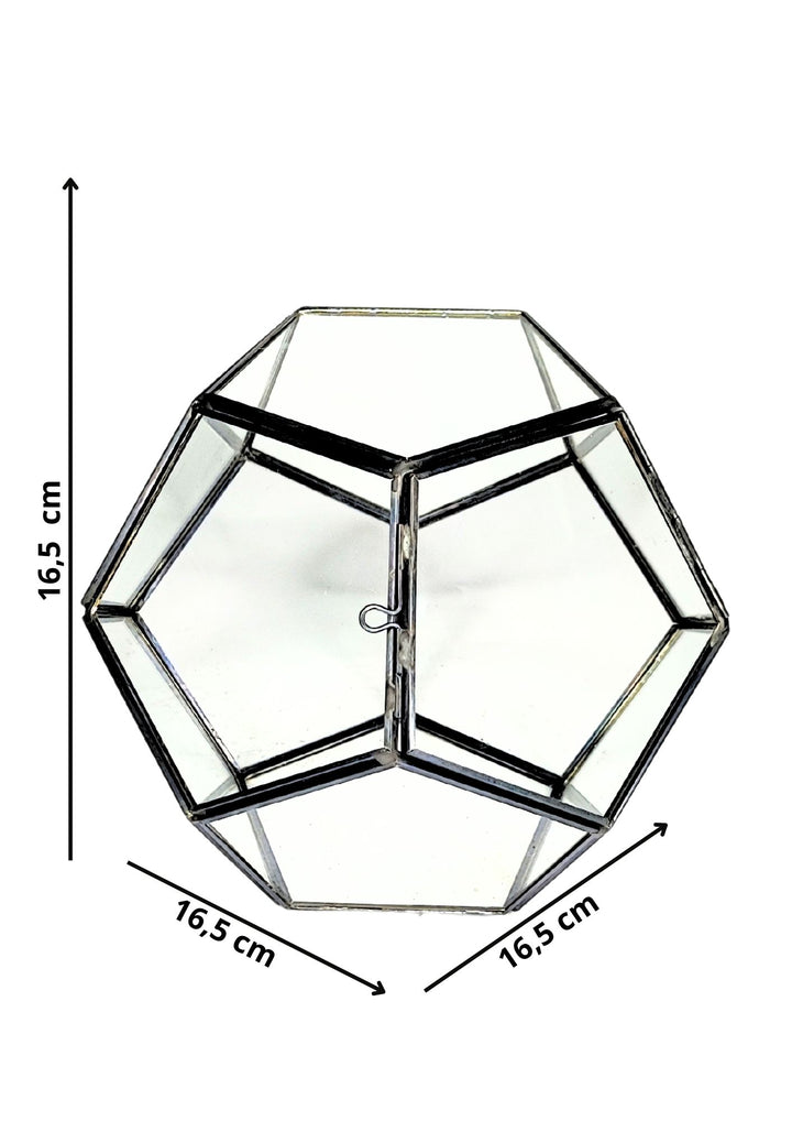 
L'immagine mostra un terrario a forma geometrica con del muschio verde e alcuni elementi naturali al suo interno, come ramoscelli. La struttura in vetro è trasparente, permettendo una visione chiara del paesaggio interno. Il design compatto e moderno è perfetto per decorare ambienti interni, offrendo un tocco di natura in uno spazio ridotto.