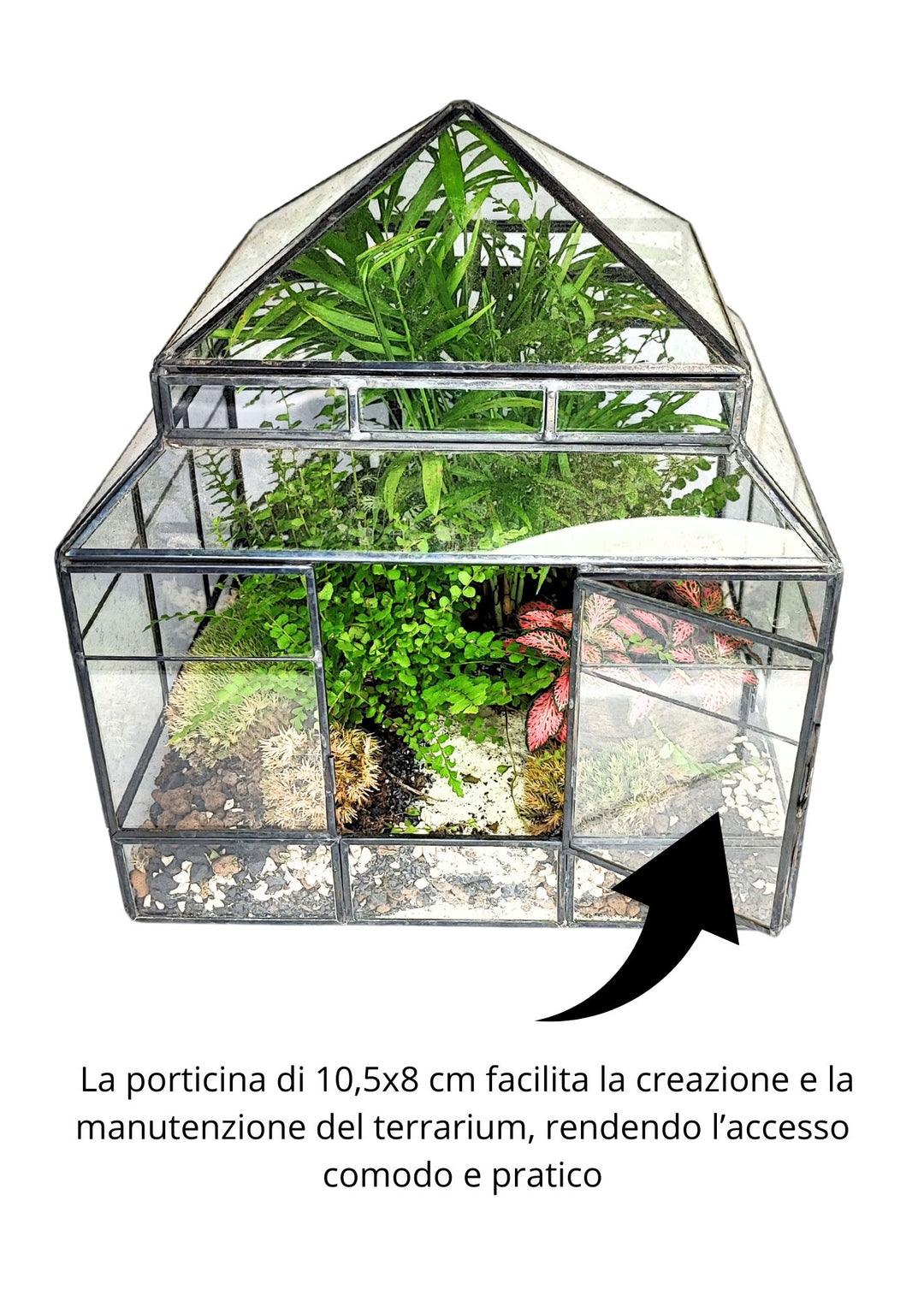 
L'immagine mostra un terrario a forma di serra con una porticina che misura 10,5x8 cm, progettata per facilitare la creazione e la manutenzione del terrario. La porticina è aperta, evidenziando l'accesso pratico e comodo per intervenire all'interno del terrario senza difficoltà. Questo aspetto rende il terrario ideale per chi desidera una manutenzione semplice e diretta delle piante al suo interno.